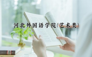 2024年河北外国语学院(艺术类)录取分数线，河北最低449分