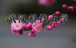 武汉科技大学最厉害的专业-2024武汉科技大学最好专业