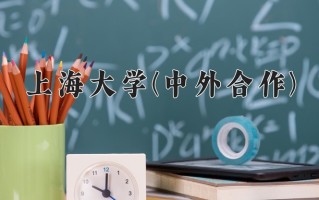 2024上海大学(中外合作)录取分数线，重庆录取最低分578