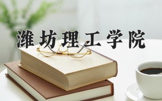 潍坊理工学院王牌专业排名-含2024年全国各省录取最低分数线