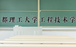 2024年成都理工大学工程技术学院录取分数线，新疆最低313分