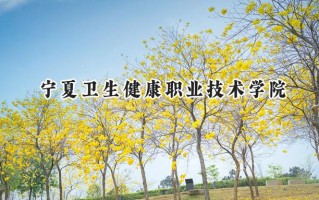 2024宁夏卫生健康职业技术学院录取分数线：宁夏最低323分