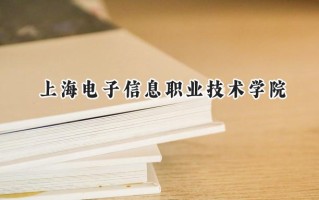 2024上海电子信息职业技术学院录取分数线：陕西最低380分