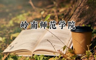 岭南师范学院2024在山东录取分数线是多少？最低450分/最高540分