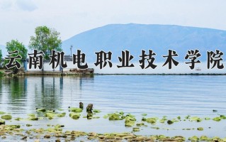 2025年云南机电职业技术学院在四川计划招生人数（附学费及专业录取分)
