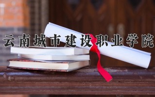 2024云南城市建设职业学院录取分数线，重庆录取最低分180