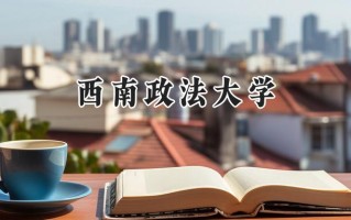 2024西南政法大学录取分数线：新疆最低479分