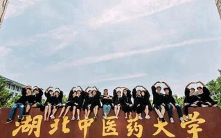 2024年湖北中医药大学录取分数线，河北最低502分