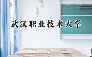 武汉职业技术大学2024在青海录取分数线是多少？最低323分/最高365分
