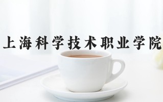 2025年上海科学技术职业学院在四川计划招生人数（附学费及专业录取分)