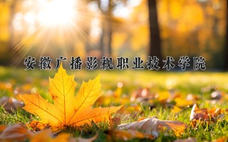 2024年安徽广播影视职业技术学院录取分数线，河北最低399分