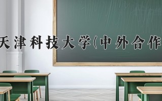 2025年天津科技大学(中外合作)在四川计划招生人数（附学费及专业录取分)