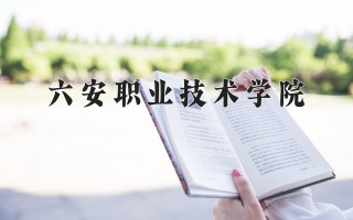 2024年六安职业技术学院录取分数线，河北最低333分