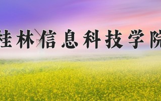 辽宁考生多少分能上桂林信息科技学院？2025最低400分