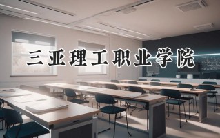 三亚理工职业学院2024在山东录取分数线是多少？最低264分/最高363分