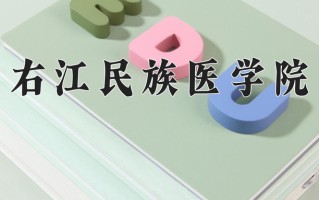 2024年右江民族医学院录取分数线，内蒙古最低385分