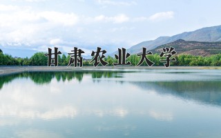 2024年甘肃农业大学录取分数线，河北最低503分