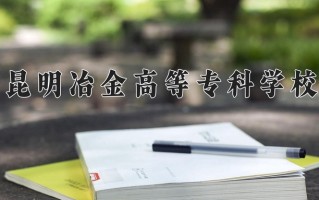 2024昆明冶金高等专科学校录取分数线，重庆录取最低分334