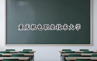 2024重庆机电职业技术大学录取分数线：山西最低404分