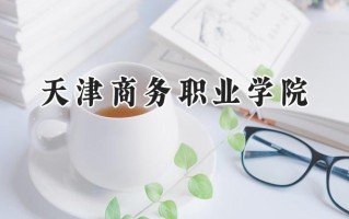 2024天津商务职业学院录取分数线：江苏最低271分