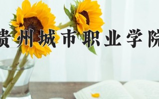 2025年贵州城市职业学院在四川计划招生人数（附学费及专业录取分)