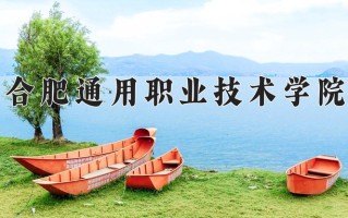 辽宁考生多少分能上合肥通用职业技术学院？2025最低351分