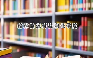 榆林能源科技职业学院2024在山东录取分数线是多少？最低302分/最高349分