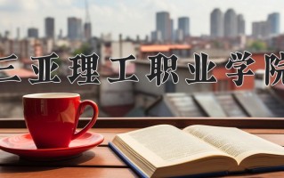 辽宁考生多少分能上三亚理工职业学院？2025最低276分