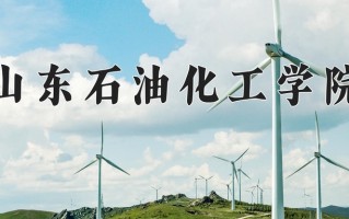 山东石油化工学院全国排名及2024年最低录取分数线