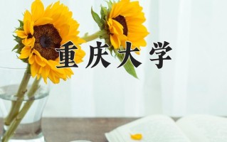 2024年重庆大学录取分数线，新疆最低542分