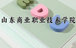 2024年山东商业职业技术学院录取分数线，河北最低417分