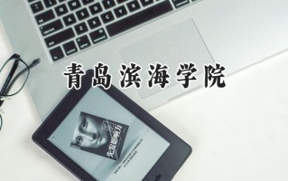 2024青岛滨海学院录取分数线：天津最低478分