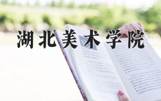 湖北美术学院最厉害的专业-2024湖北美术学院最好专业