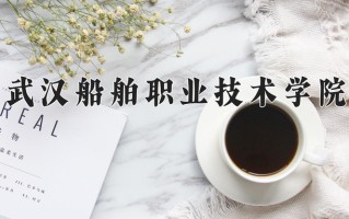 2024武汉船舶职业技术学院录取分数线：浙江最低418分