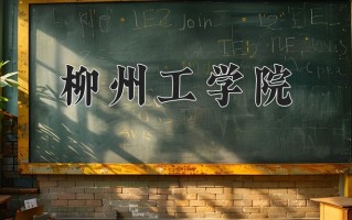 柳州工学院最厉害的专业-2024柳州工学院最好专业