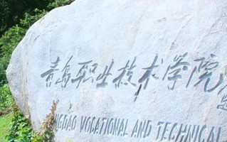 2024年青岛职业技术学院录取分数线，宁夏最低320分