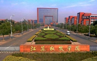 2024江苏农牧科技职业学院录取分数线，重庆录取最低分383