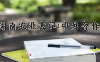 2024湖南农业大学(中外合作)录取分数线，重庆录取最低分490