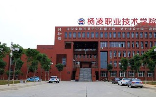 2024年杨凌职业技术学院录取分数线，新疆最低167分