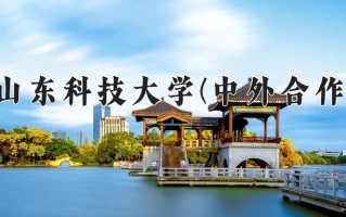 2025年山东科技大学(中外合作)在四川计划招生人数（附学费及专业录取分)