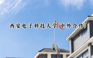 2024西安电子科技大学(中外合作)录取分数线：河南最低608分