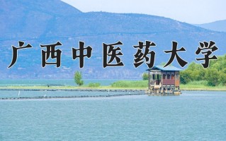 广西中医药大学怎么样？全国排名第几位