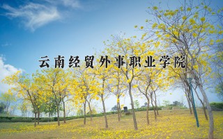 2024年云南经贸外事职业学院录取分数线，河北最低245分
