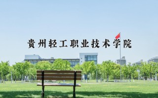 2024年贵州轻工职业技术学院录取分数线，河北最低401分
