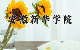 辽宁考生多少分能上安徽新华学院？2025最低424分