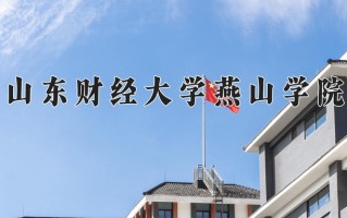山东财经大学燕山学院最厉害的专业-2024山东财经大学燕山学院最好专业