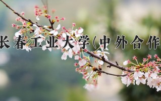 2025年长春工业大学(中外合作)在四川计划招生人数（附学费及专业录取分)