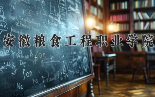 2025年安徽粮食工程职业学院在四川计划招生人数（附学费及专业录取分)