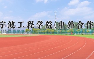 2025年宁波工程学院(中外合作)在四川计划招生人数（附学费及专业录取分)