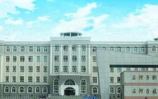 2024年新疆石河子职业技术学院录取分数线，内蒙古最低209分